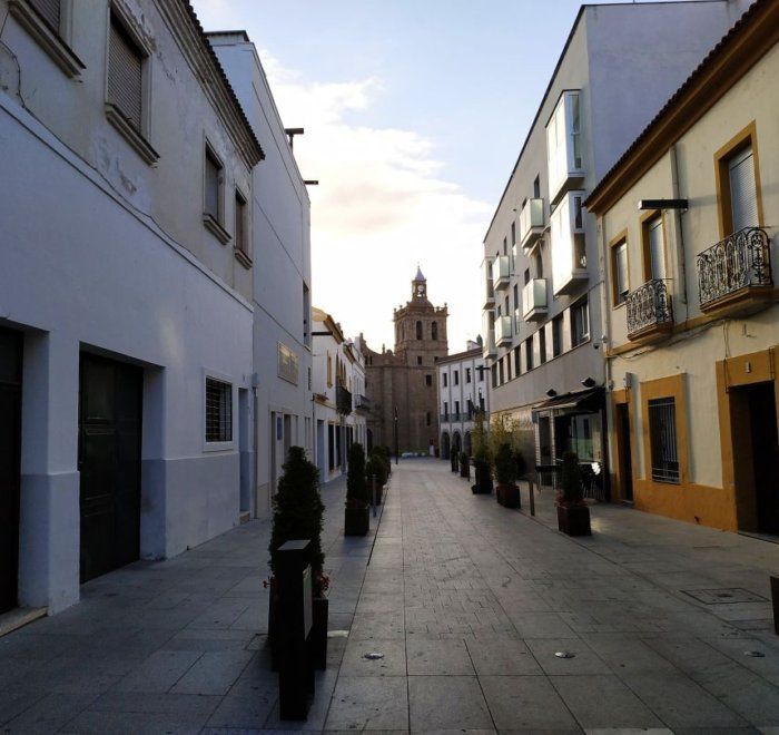 Ayudas Locales Comerciales Vacios