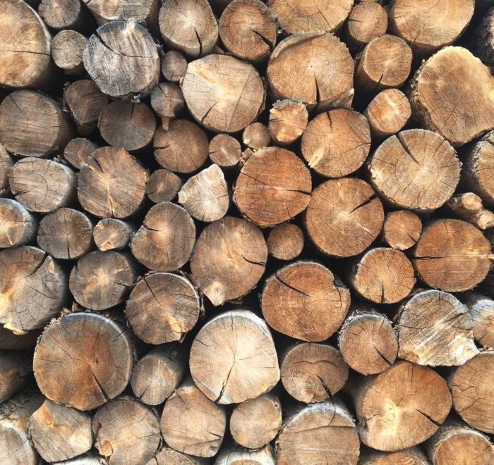 la mejora de la comercialización de productos forestales
